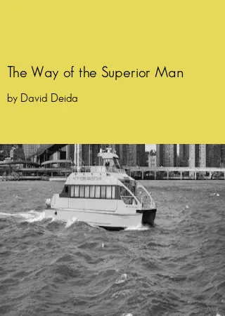 The Way of the Superior Man pdf by David Deidapdf Book free download